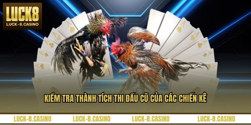 Đá Gà Peru - Đấu Trường Kịch Tính Của Các Chiến Kê
