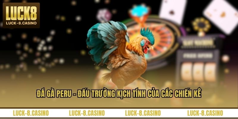 Đá Gà Peru - Đấu Trường Kịch Tính Của Các Chiến Kê