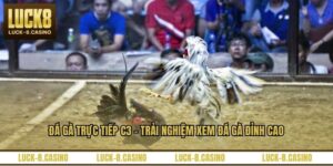 Đá Gà LUCK8 - Đấu Trường Trực Tuyến Đỉnh Cao Năm 2026