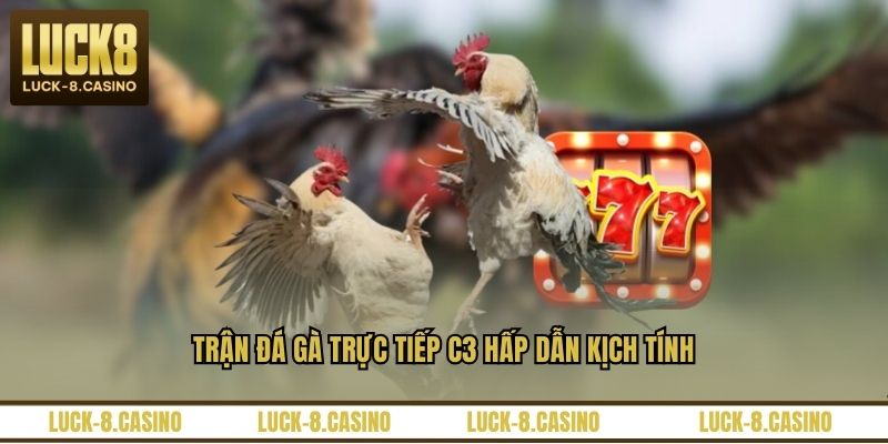 Đá Gà Trực Tiếp C3 – Trải Nghiệm Xem Đá Gà Đỉnh Cao