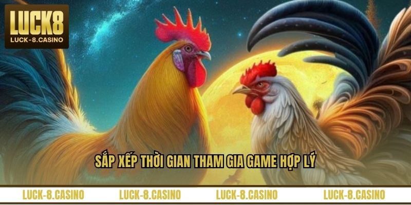 Đá Gà Trực Tiếp C3 – Trải Nghiệm Xem Đá Gà Đỉnh Cao