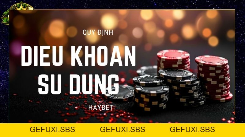 Điều Khoản Sử Dụng Haybet – Những Quy Định Quan Trọng 2026