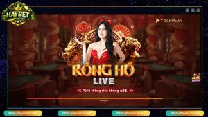 Live Casino HayBet Cá Cược Đẳng Cấp Trải Nghiệm Mượt Mà
