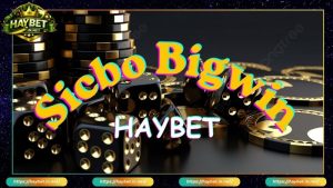Live Casino HayBet Cá Cược Đẳng Cấp Trải Nghiệm Mượt Mà