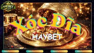 Live Casino HayBet Cá Cược Đẳng Cấp Trải Nghiệm Mượt Mà