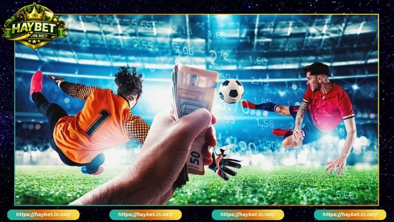 BTI Sports Sảnh Cược Thể Thao Quốc Tế Đỉnh Số #1 Tại HAYBET