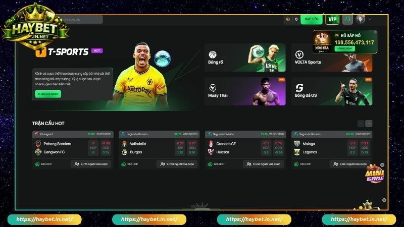 T Sports Cược Thể Thao Đình Đám Nhiều Kèo Hay Trên Haybet