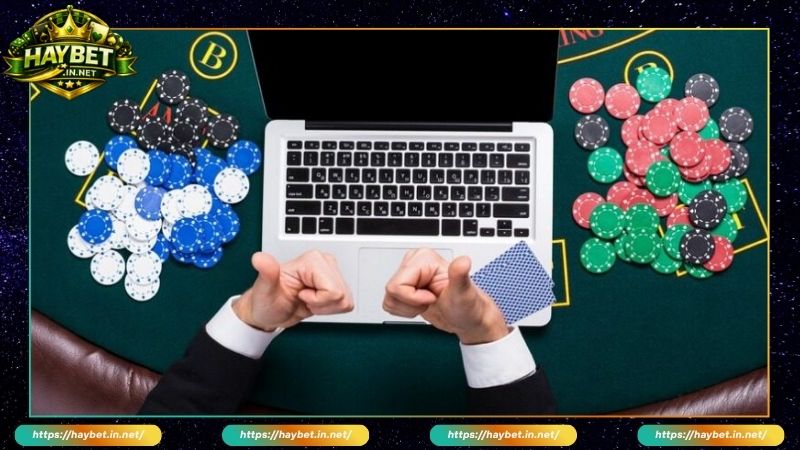 Nhà Cái HayBet Bảo Trì Vì Lý Do Gì? Lưu Ý Khi Tham Gia