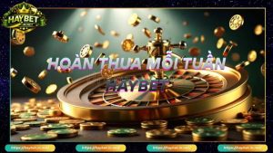Khuyến Mãi Haybet Nâng Tầm Trải Nghiệm Cá Cược Cho Bet Thủ