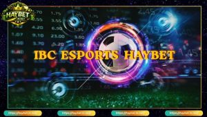 HAYBET | Tham Gia Link Vào HayBet Mới Nhất, Cá Cược Đỉnh Cao