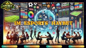 HAYBET | Tham Gia Link Vào HayBet Mới Nhất, Cá Cược Đỉnh Cao