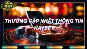 Khuyến Mãi Haybet Nâng Tầm Trải Nghiệm Cá Cược Cho Bet Thủ