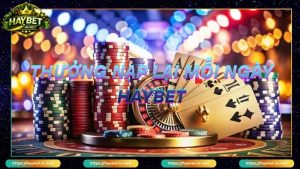 Khuyến Mãi Haybet Nâng Tầm Trải Nghiệm Cá Cược Cho Bet Thủ