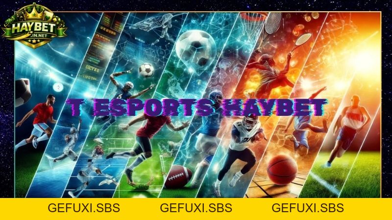 T Sports Cược Thể Thao Đình Đám Nhiều Kèo Hay Trên Haybet