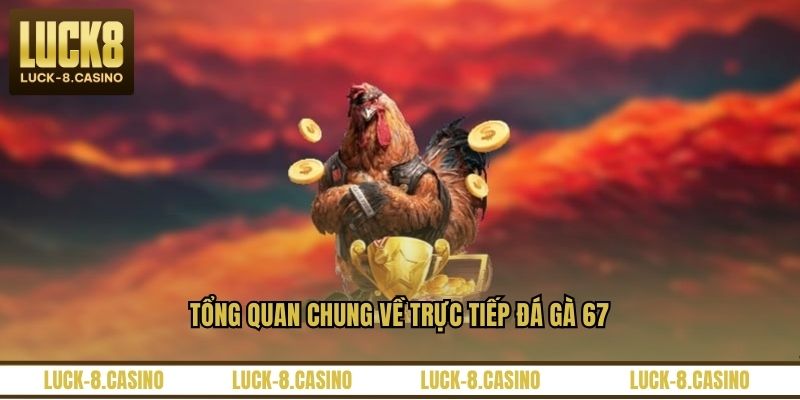 Trực Tiếp Đá Gà 67 – Nền Tảng Xem Đá Gà Hấp Dẫn Nhất
